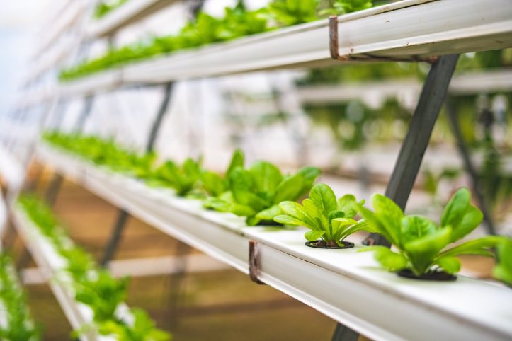 What is Meant by Hydroponic System?