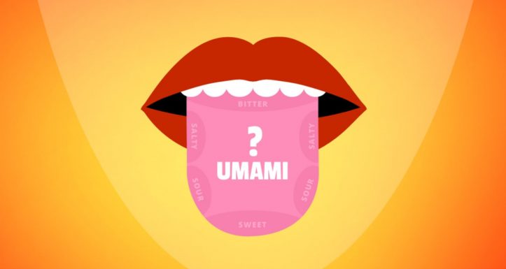 What is Umami?