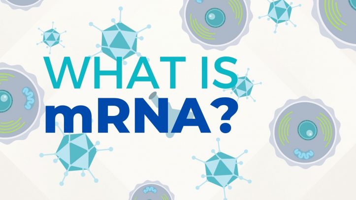 What is mRNA?